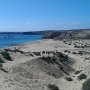 Lanzarote-Spiaggia Papagayo1